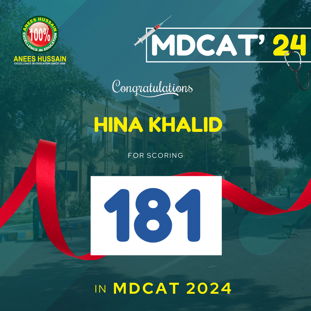 anees hussain August_24 - 2024-12-17T190040.795