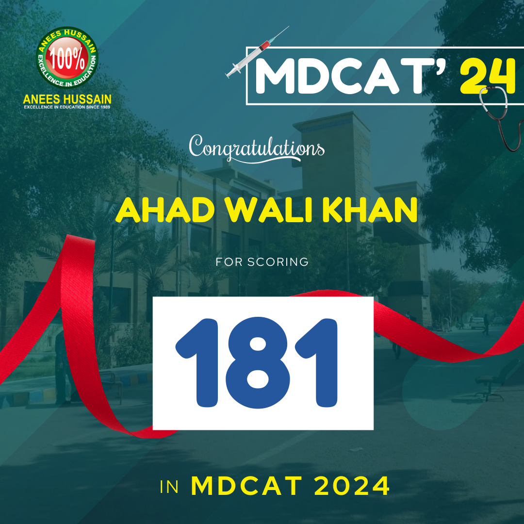 anees hussain August_24 - 2024-12-17T190226.928