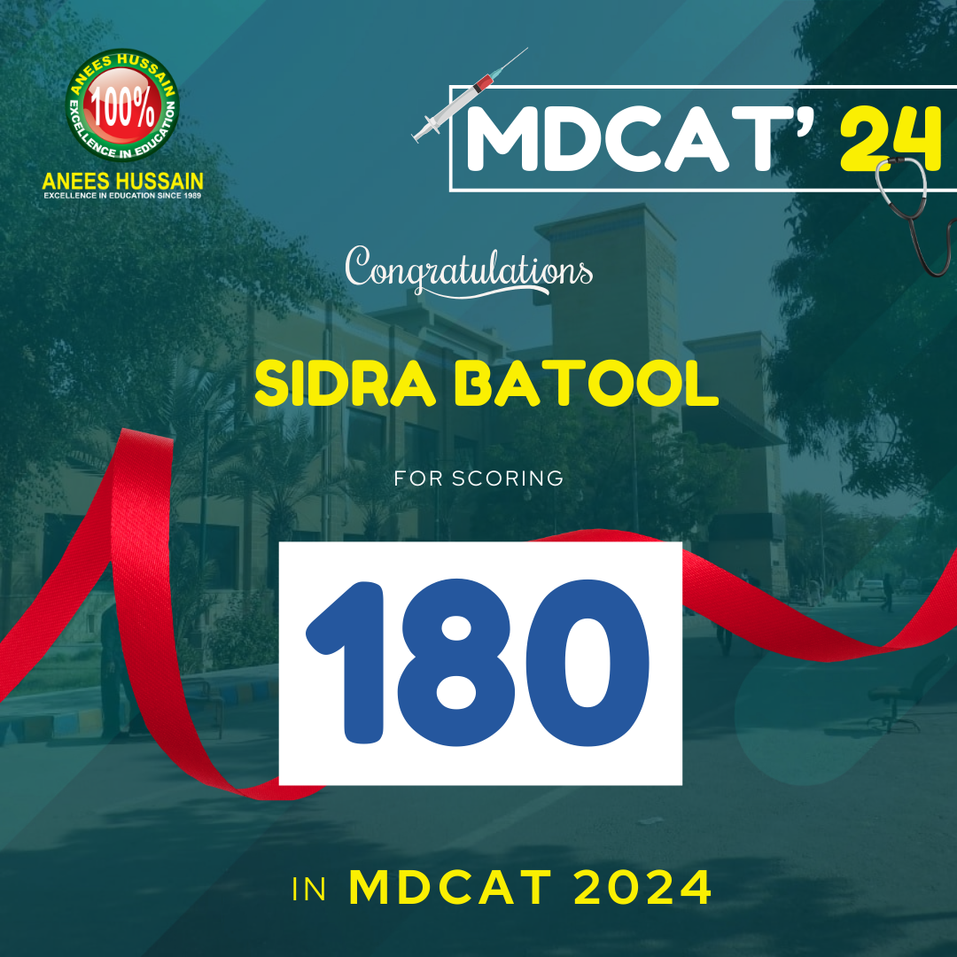 anees hussain August_24 - 2024-12-17T190403.697