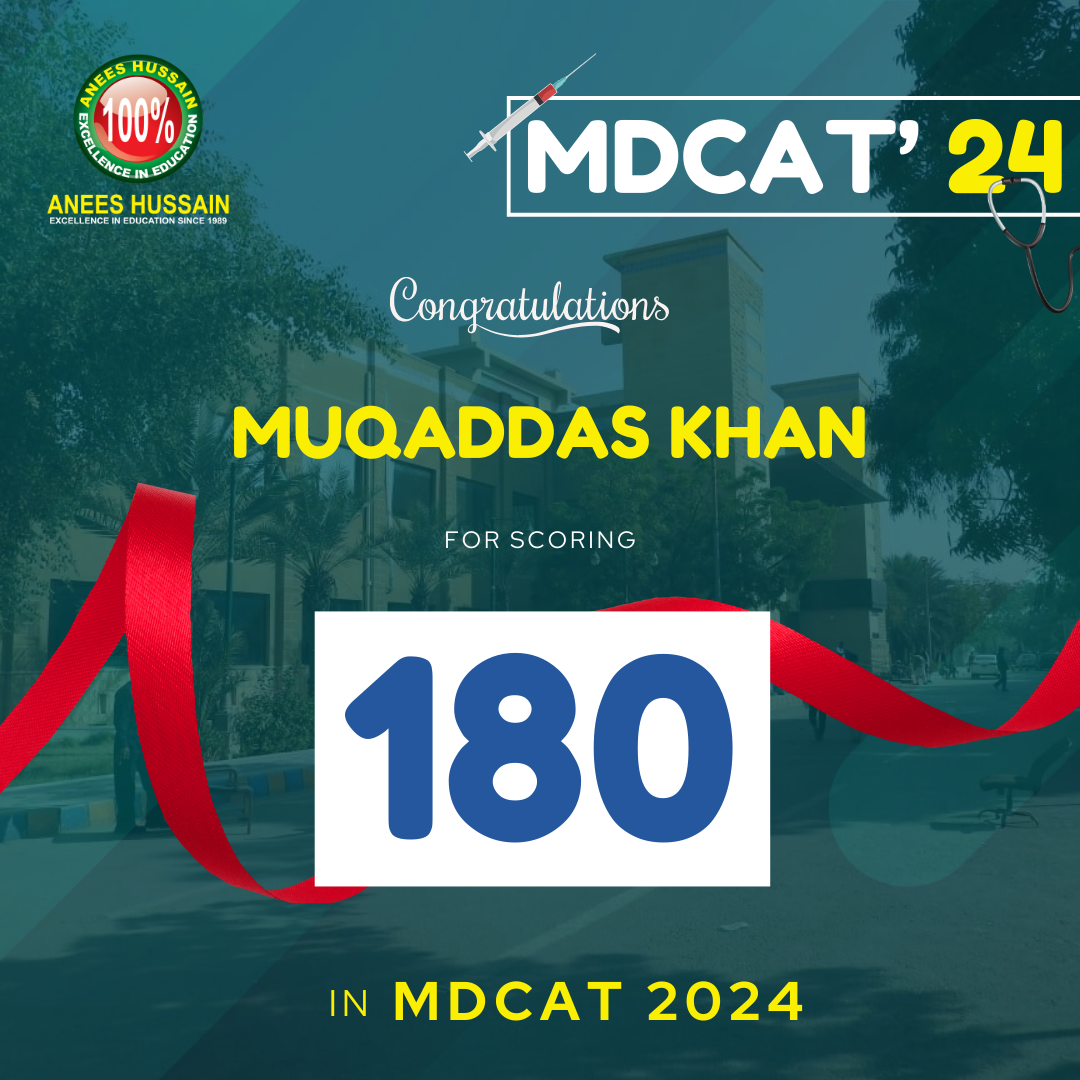 anees hussain August_24 - 2024-12-17T190515.709