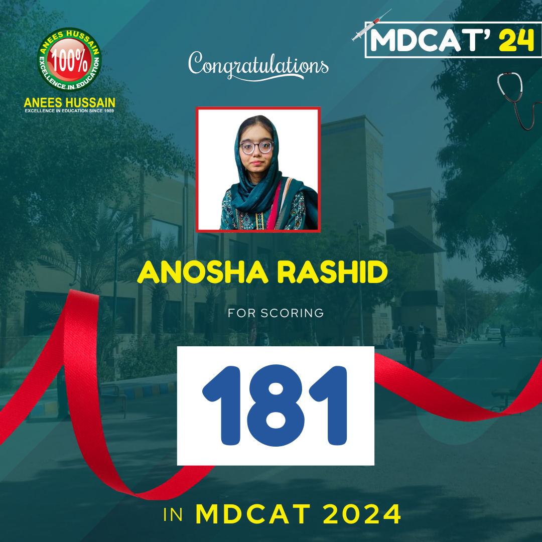 anees hussain August_24 - 2024-12-17T192750.214