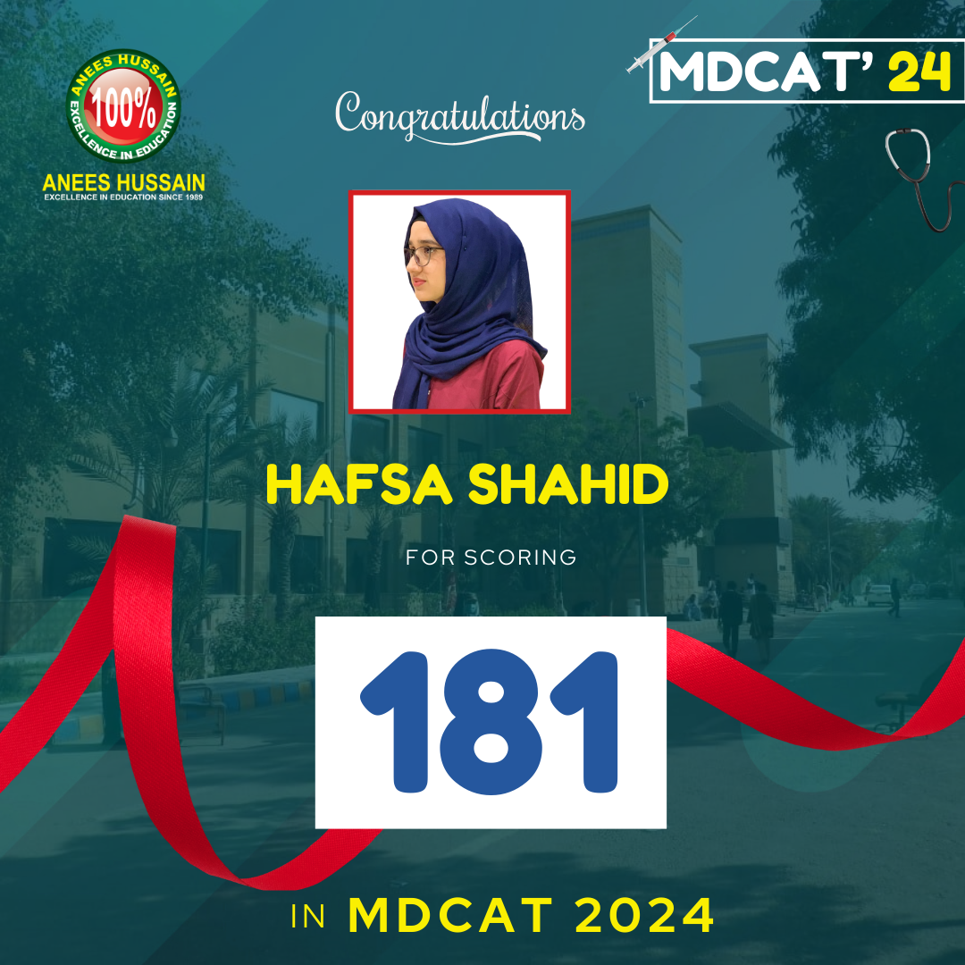 anees hussain August_24 - 2024-12-17T192948.158