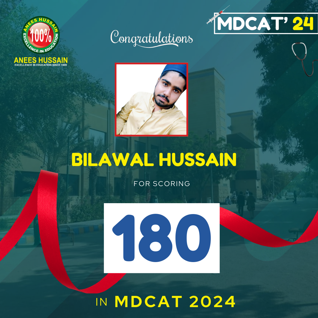 anees hussain August_24 - 2024-12-17T194142.031