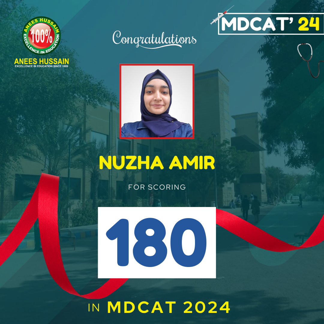 anees hussain August_24 - 2024-12-17T195135.242